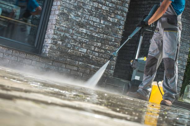 Best Animal Enclosure Cleaning  in Bonny Doon, CA